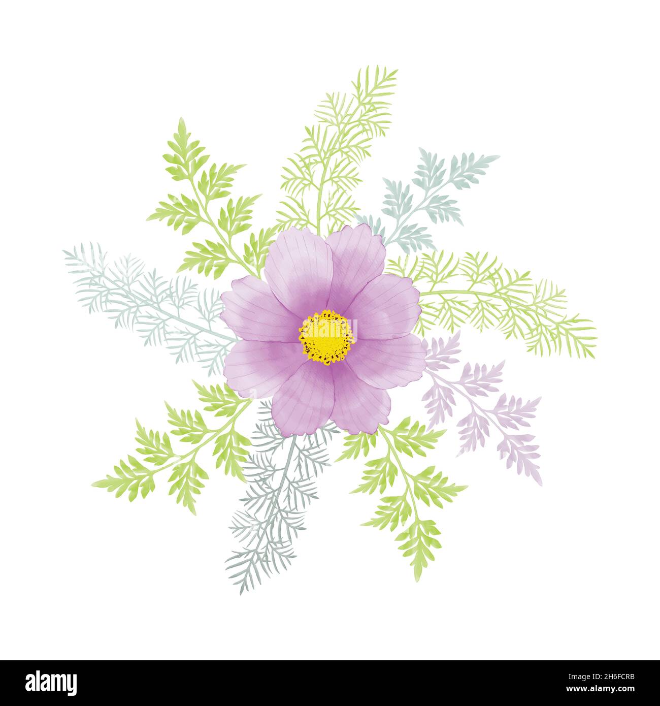 Aquarell natürlichen Kosmos Blume und verlassen Set-Design Stock Vektor