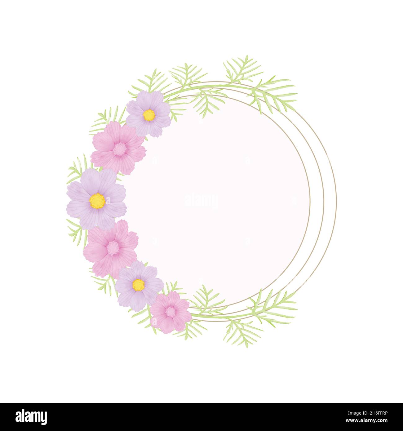 Aquarell natürlichen Kosmos Blume und verlassen Set-Design Stock Vektor