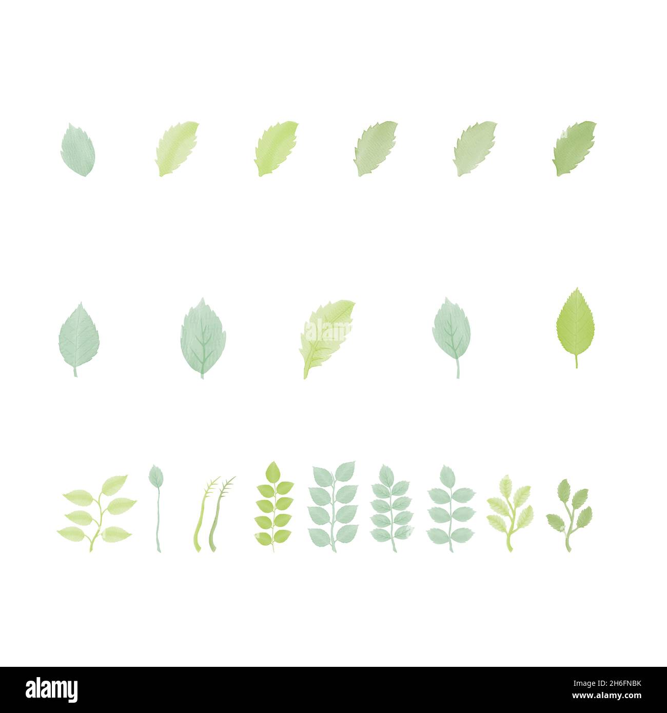 Aquarell natürliche Blume und verlassen Set-Design Stock Vektor