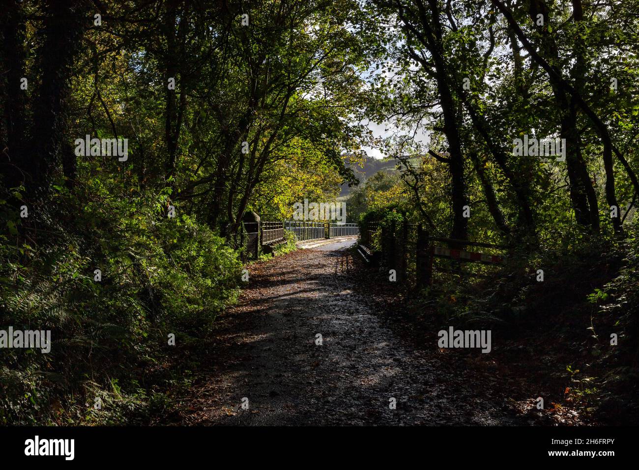 Tarka Trail in der Nähe der Station Torrington. Devon Stockfoto