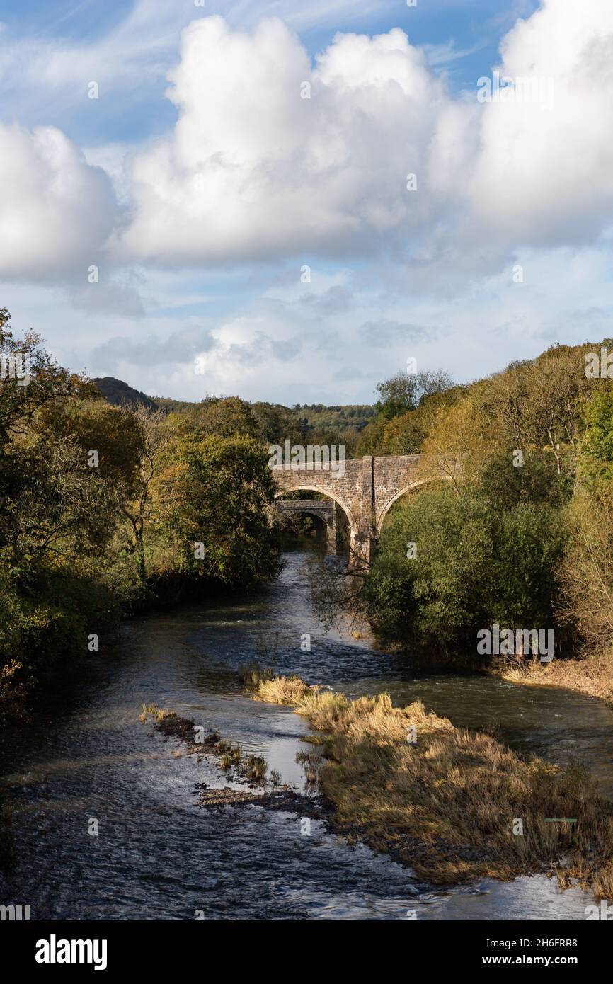 River Torridge in der Nähe von Great Torrington Stockfoto