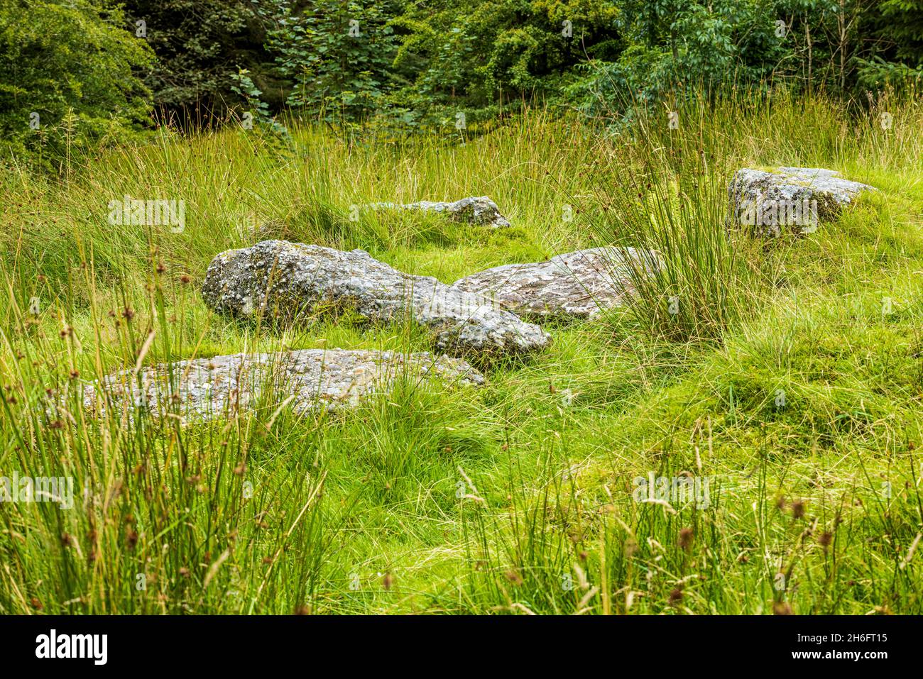 Standort des Giants Grabes, megalithisches Grab, in der Nähe von Cadamstown, in den Slieve Bloom Mountains, County Offaly, Irland Stockfoto