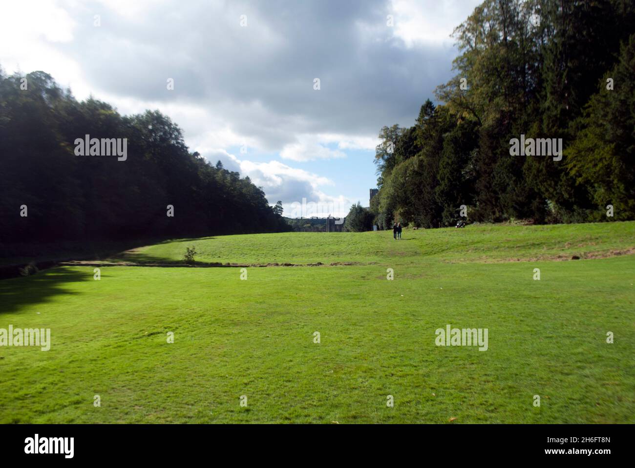 Rasen und Bäume in den Studley Royal Water Gardens, Studley Royal Park, Fountains Abbey, Aldfield, in der Nähe von Ripon, North Yorkshire, England Stockfoto