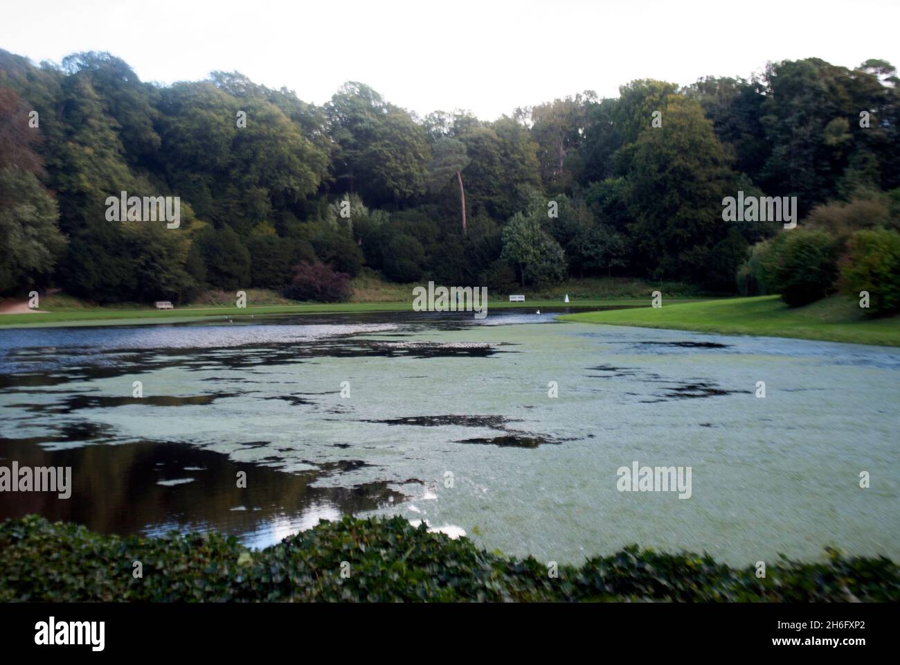 River Skell in Studley Royal Water Gardens, Studley Royal Park, Fountains Abbey, Aldfield, in der Nähe von Ripon, North Yorkshire, England Stockfoto