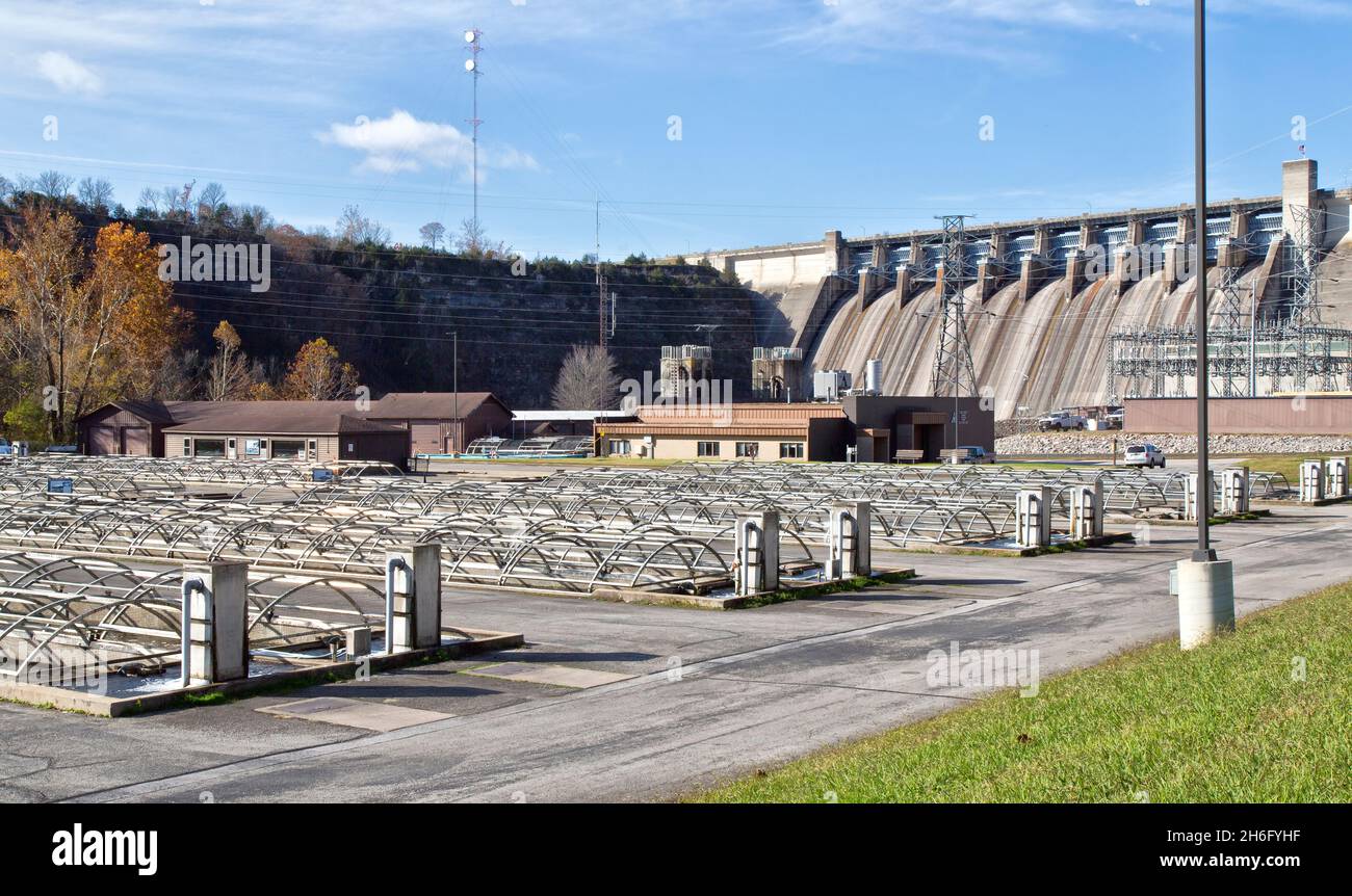 Shepherd of the Hills Fischzuchtanlage, Raising Brown & Rainbow Forelle, Conservation Center, Table Rock HydroElectric Dam im Hintergrund. Stockfoto