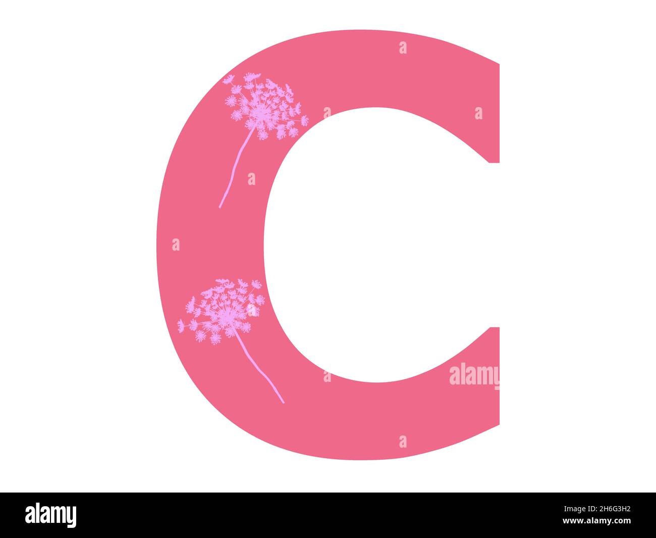 Buchstabe C des Alphabets hergestellt mit rosa Blume Silhouette in einem dunkelrosa Hintergrund, ist der Buchstabe auf einem weißen Hintergrund isoliert Stockfoto