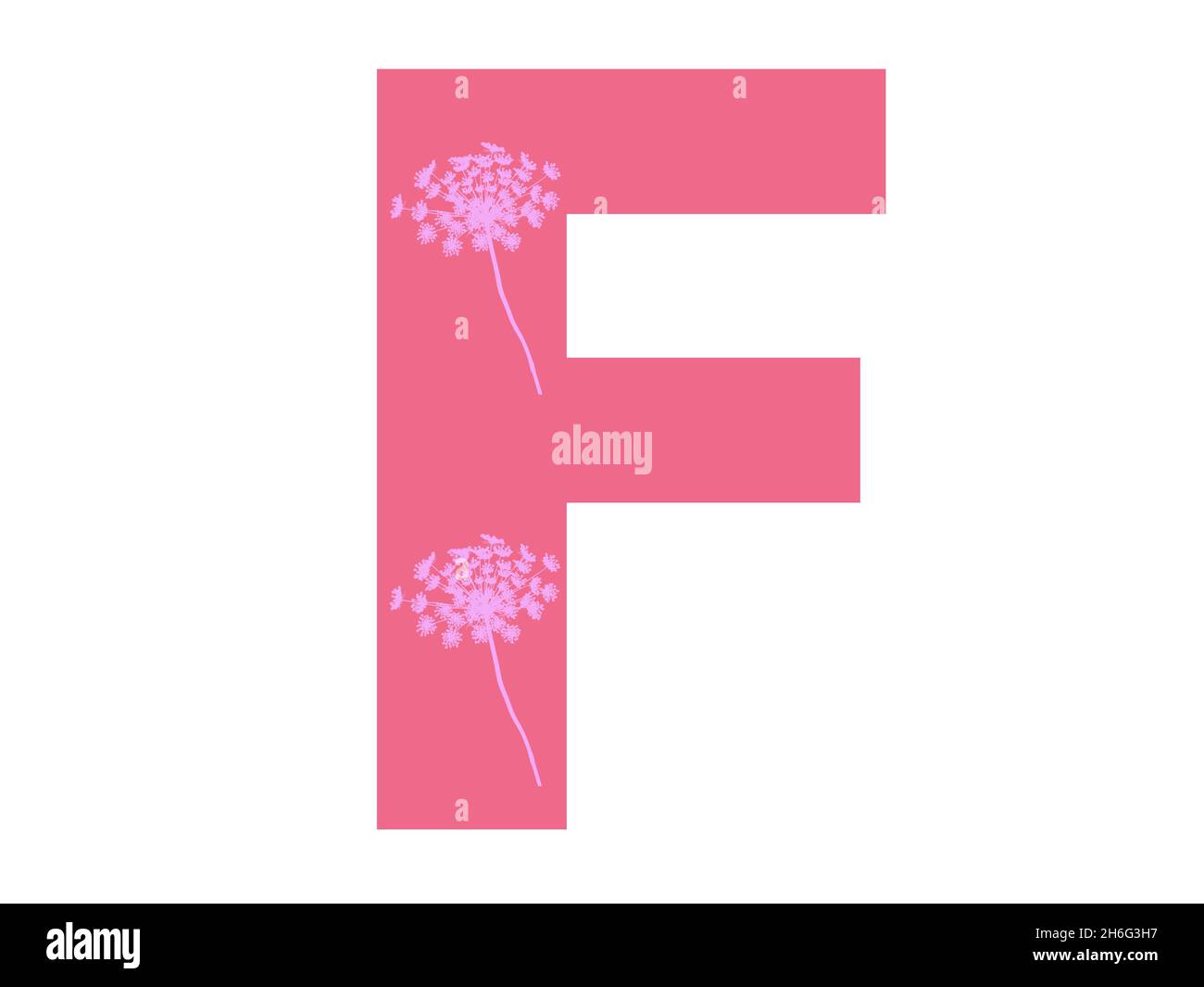 Buchstabe F des Alphabets hergestellt mit rosa Blume Silhouette in einem dunkelrosa Hintergrund, ist der Buchstabe auf einem weißen Hintergrund isoliert Stockfoto