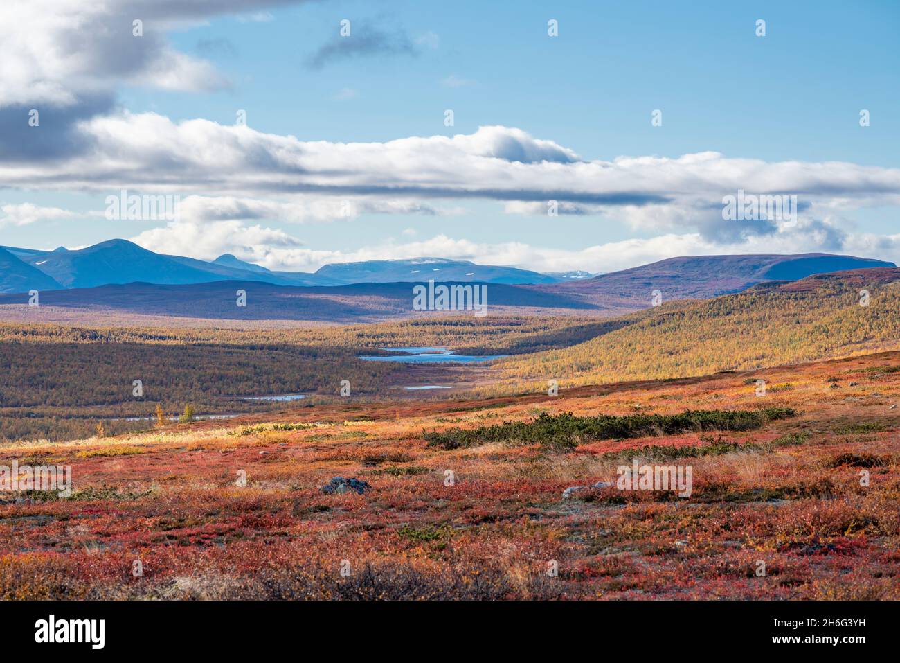 Lebendige Herbstlandschaft in abgelegener Wildnis des arktischen Pieljekaise-Nationalparks Stockfoto