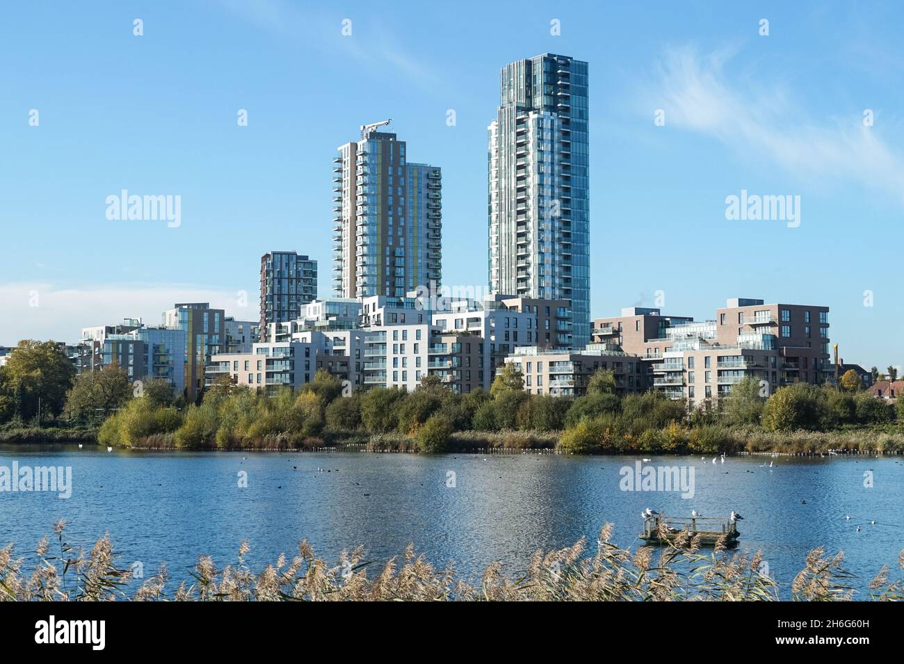 Woodberry Down Moderne Wohngebäude und Woodberry Wetlands Naturschutzgebiet in London England Vereinigtes Königreich Großbritannien Stockfoto