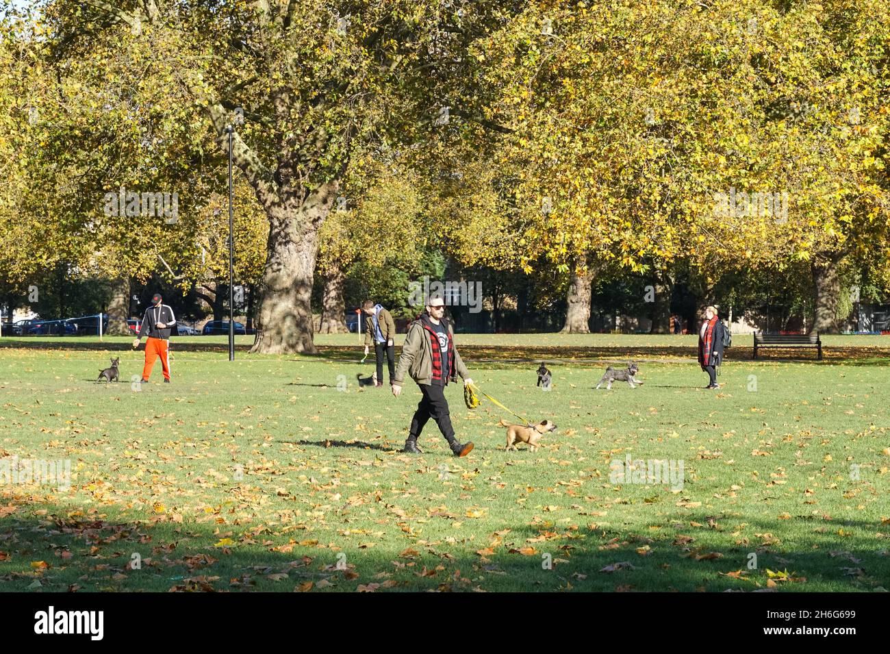 Hundewanderer genießen den sonnigen Herbsttag im London Fields Park in Hackney, London England Vereinigtes Königreich Großbritannien Stockfoto