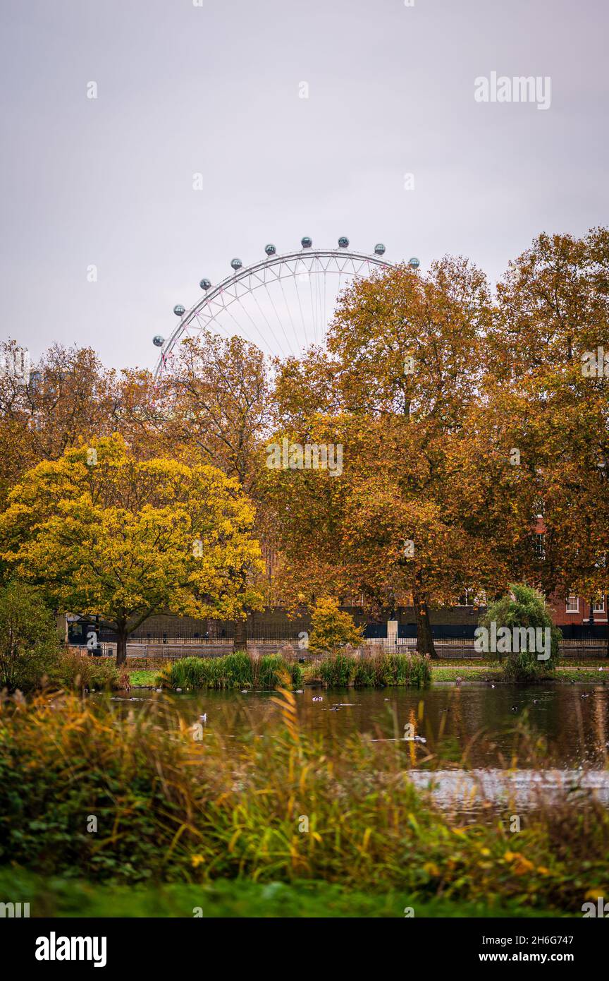 Herbst im St James Park, London Stockfoto