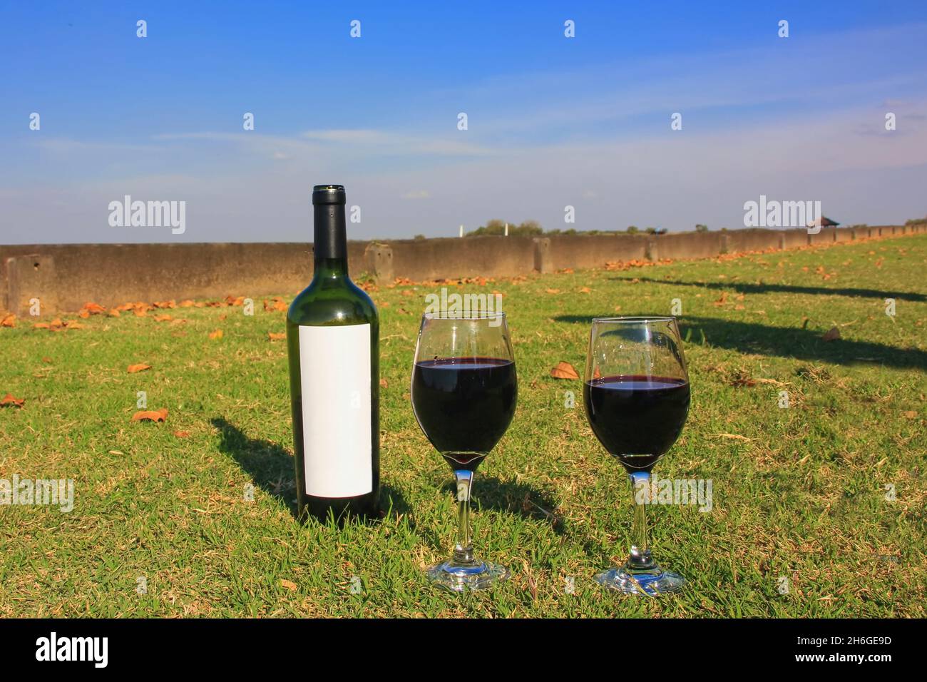 Selektiver Fokus auf die Nahaufnahme der Weinflasche mit weißem Etikett und Gläsern mit Rotwein auf dem Rasen vor blauem Himmel. Stockfoto