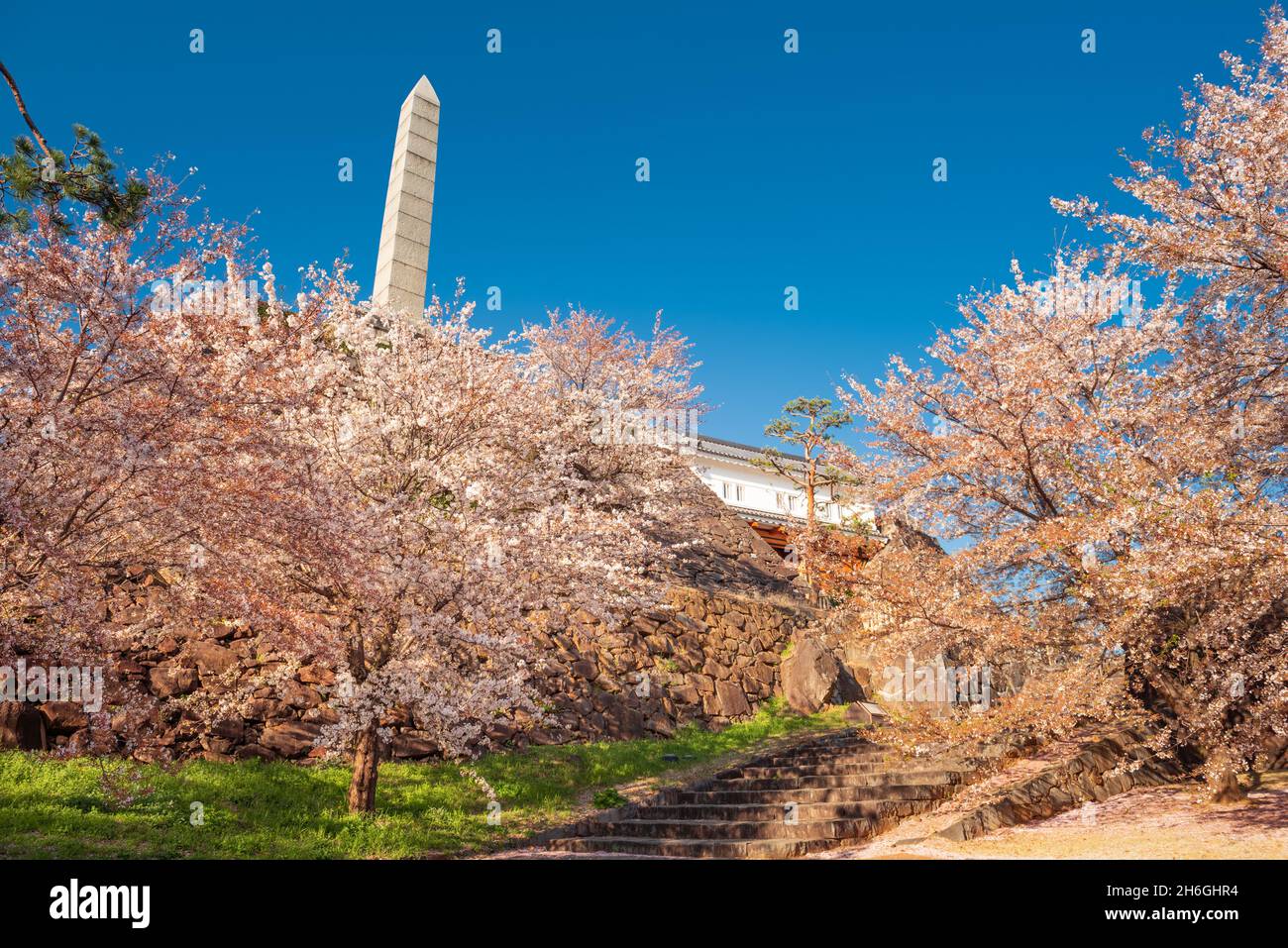 Kofu, Japan im Maizuru Castle Park historisches Tor und Monument im Frühling. Stockfoto