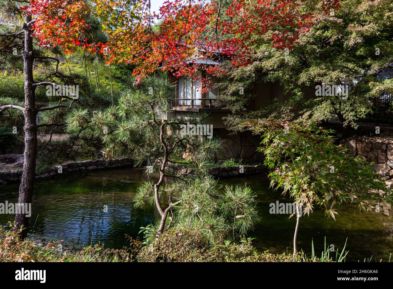 Koyama Garden liegt neben Toshimaen und hat einen japanischen Garten, der um einen Teich herum angelegt ist. Die Gartengestaltung nutzt den Höhenunterschied von Stockfoto