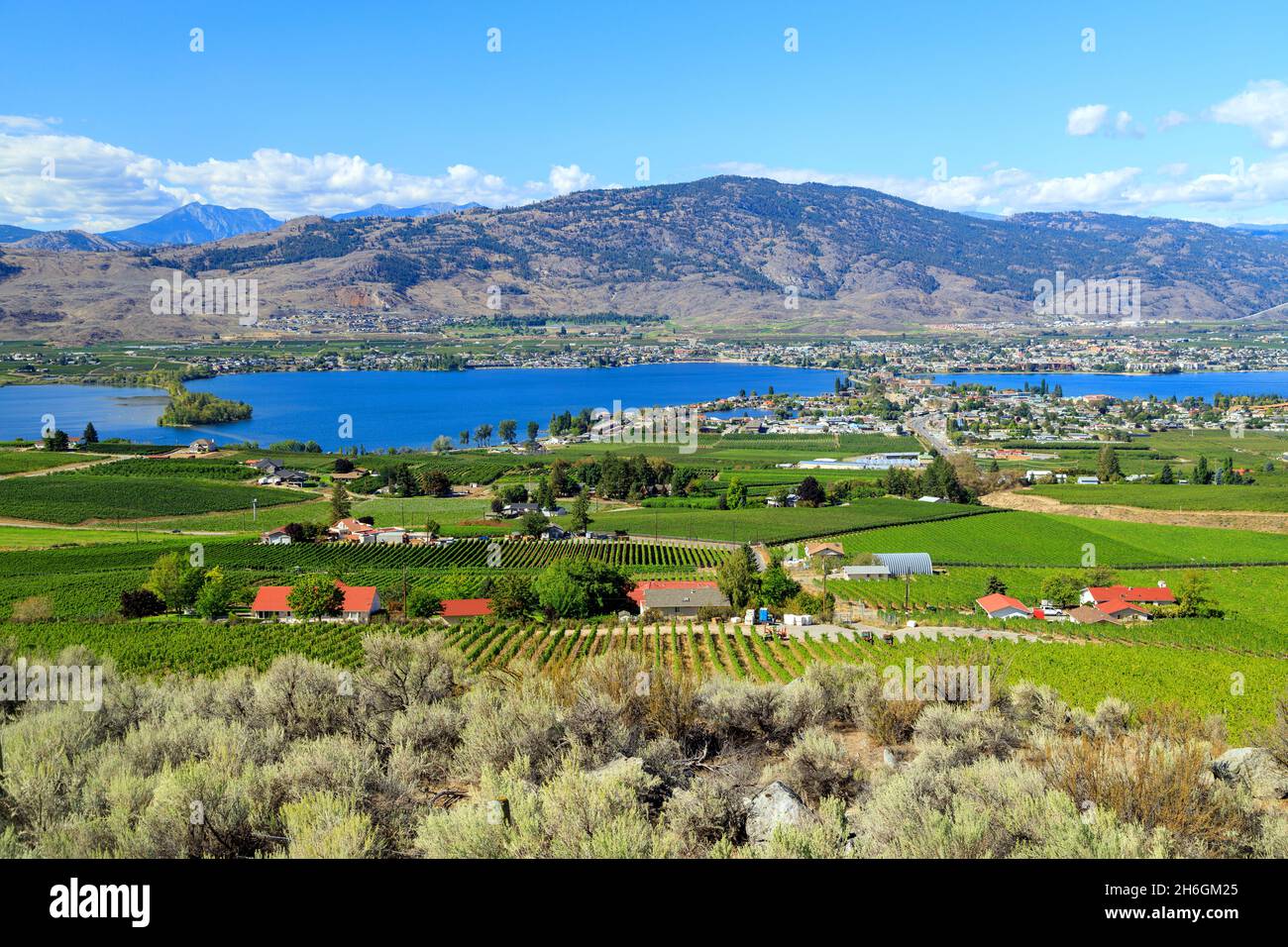 Blick auf die landwirtschaftliche Landschaft und Weinberge während der Sommersaison in der kleinen Stadt Osoyoos im Okanagan Valley, British Columbia, C Stockfoto