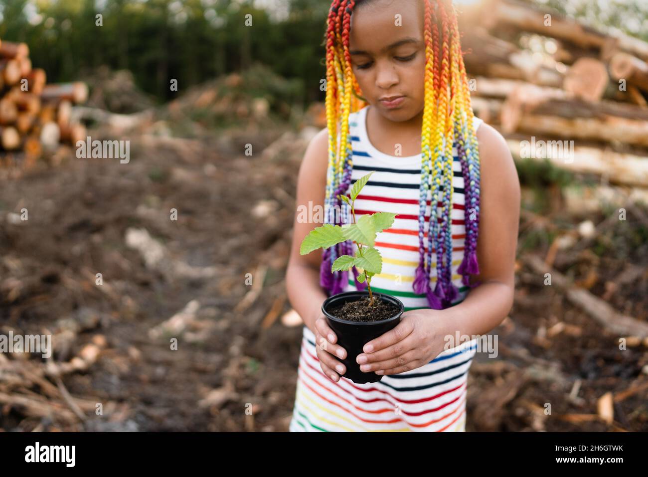 Junge gemischte Rasse Mädchen mit Regenbogen-Box Zöpfe steht auf der Logging-Website hält einen Baum spling zu Pflanzen. Stockfoto