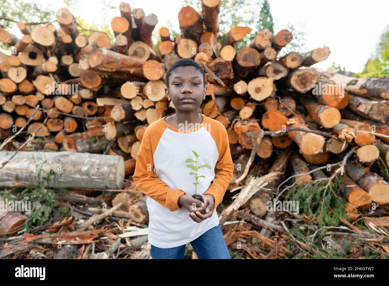 Der junge schwarze Junge steht vor einem Haufen von Baumstämmen und hält einen kleinen Baumkater. Stockfoto