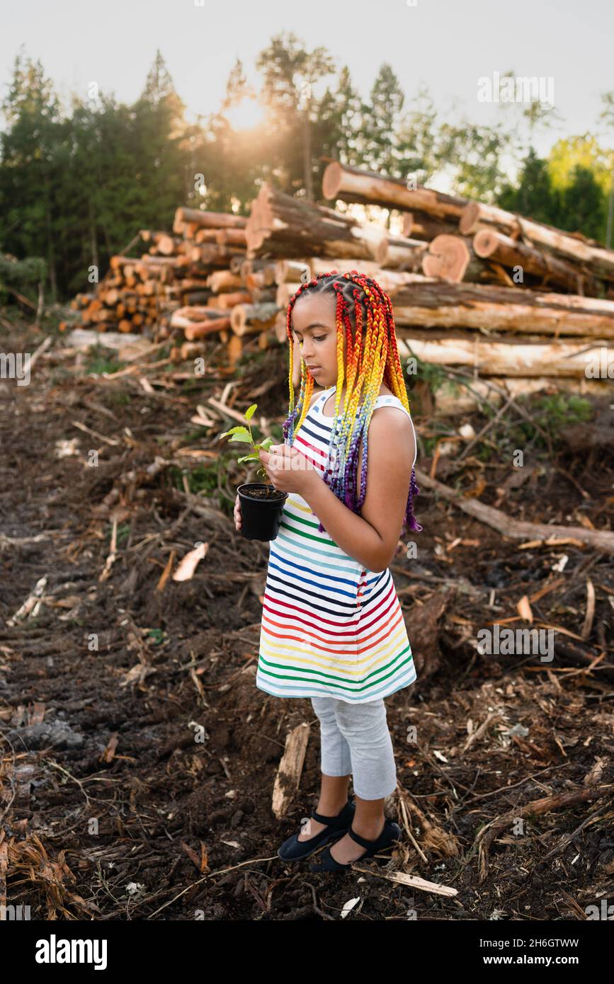 Junge gemischte Rasse Mädchen mit Regenbogen-Box Zöpfe steht auf der Logging-Website hält einen Baum spling zu Pflanzen. Stockfoto