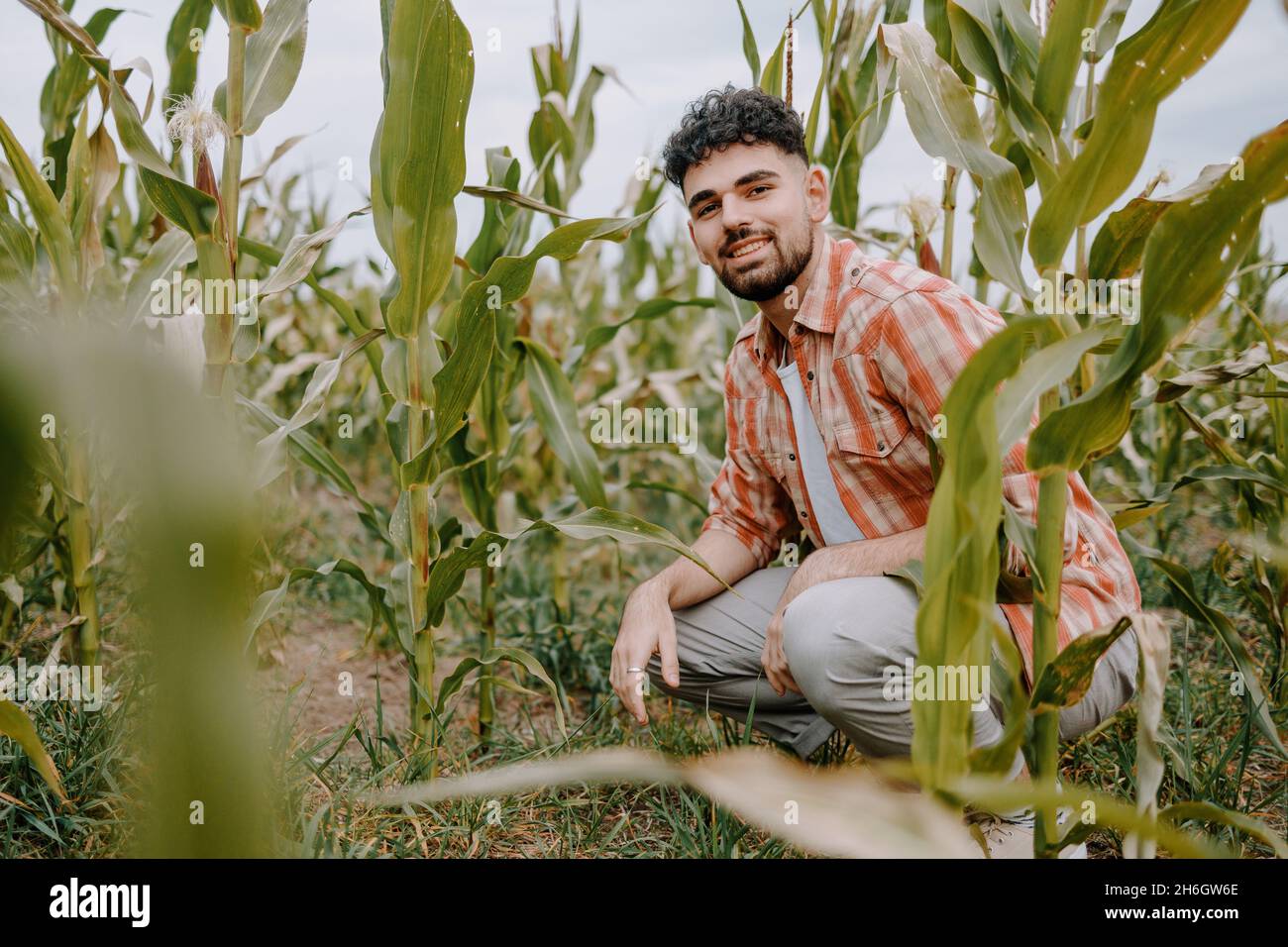 Porträt eines jungen Bauern auf einem Maisfeld. Kaukasischer selbstbewusster Geschäftsmann in seinem eigenen Agrargeschäft. Stockfoto