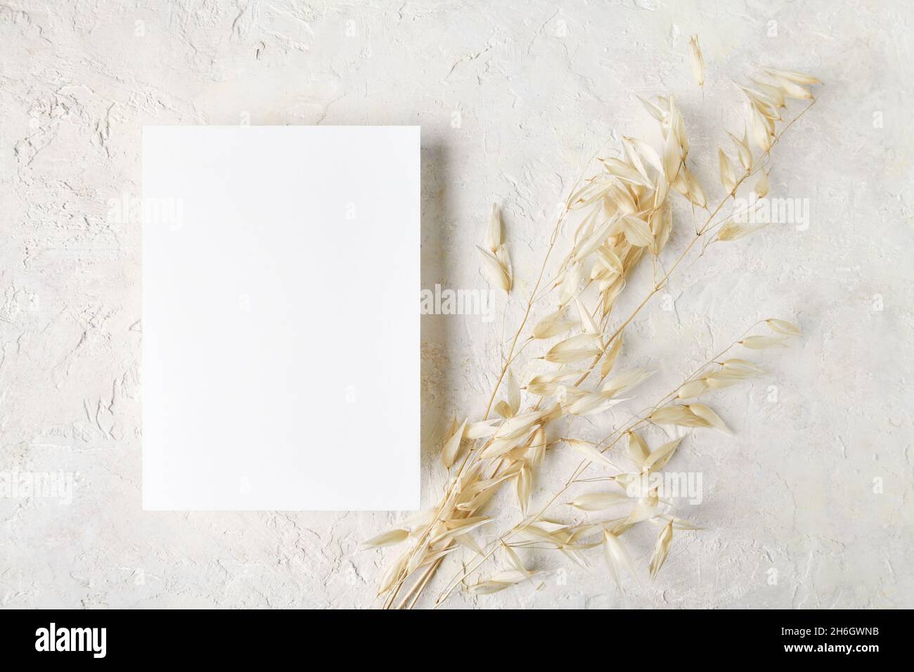 Weißes Einladungskartenmockup mit Boho-Dekoration: Trockenes Gras, natürliches umweltfreundliches Dekor, minimalistisches Mockup 5x7-Verhältnis, ähnlich A6, A5, Draufsicht Stockfoto