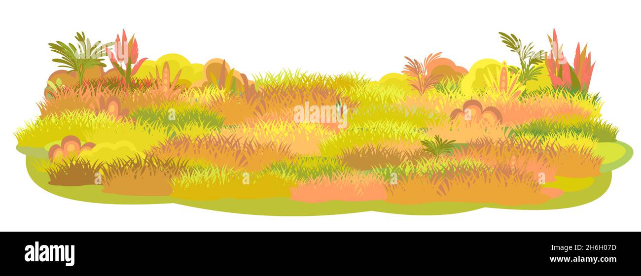 Wiese. Herbstwiese. Nahaufnahme des Grases. Ländliche schöne Landschaft. Wilder ungeschnittener Rasen. Cartoon-Stil. Flaches Design. Isoliert auf weißem Hintergrund Stock Vektor