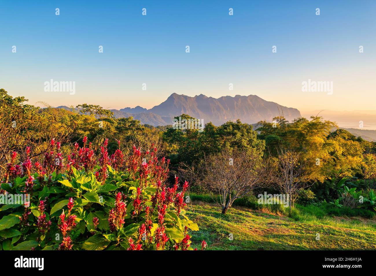 Tropischer Wald Natur Landschaft Blick mit Bergkette bei Doi Chiang Dao, Chiang Mai Thailand Stockfoto