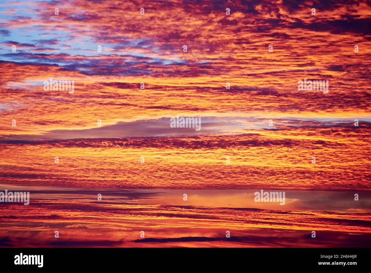 Leuchtend orange Cumulus Wolken im Abendlicht. Majestätisches Naturphänomen und dramatischer Himmel Stockfoto