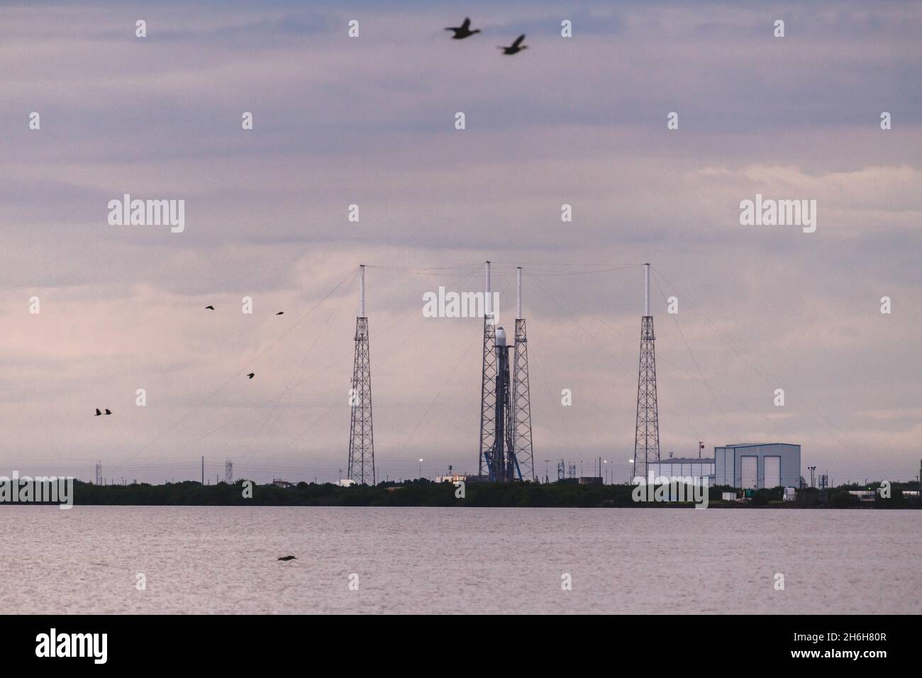 Eine SpaceX Falcon 9-Rakete startet vom Space Launch Complex 40 auf der Cape Canaveral Space Force Station, Florida, 13. November 2021. Die Rakete wird 53 Starlink-Satelliten in die Umlaufbahn befördern. Stockfoto
