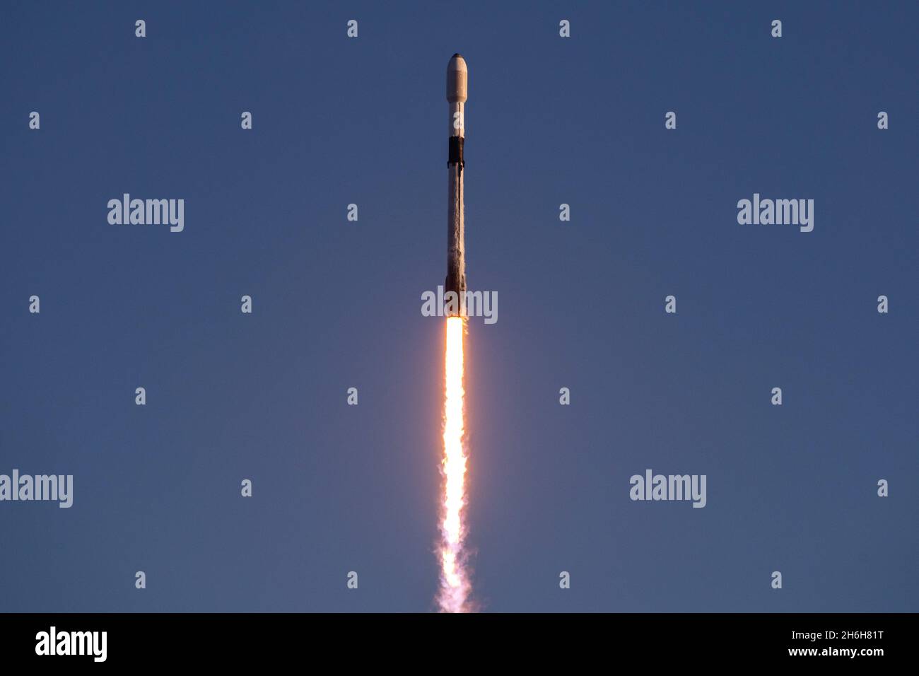 Eine SpaceX Falcon 9-Rakete startet vom Space Launch Complex 40 auf der Cape Canaveral Space Force Station, Florida, 13. November 2021. Die Rakete wird 53 Starlink-Satelliten in die Umlaufbahn befördern. Stockfoto