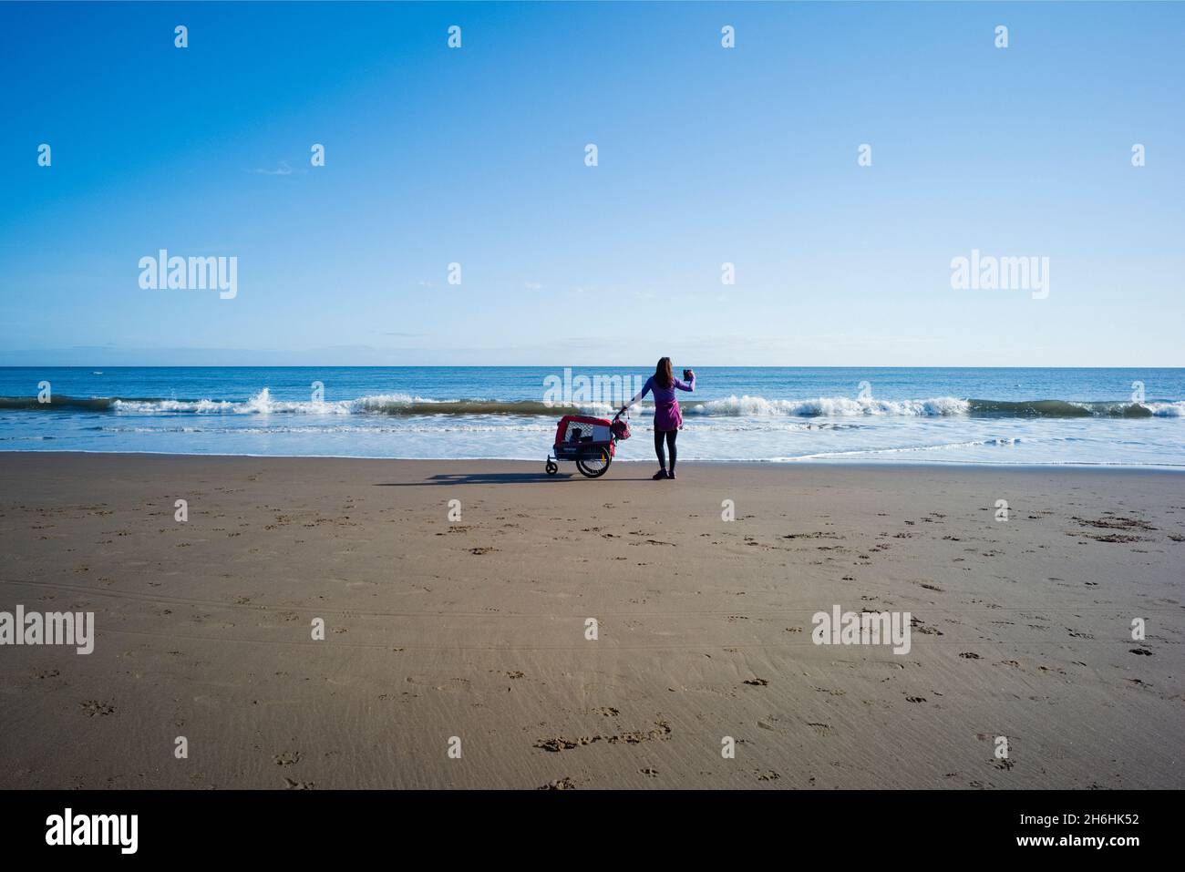 Eine Frau, die mit einem Hund in einem Kinderwagen am Strand von North Sands, Scarborough, spazieren geht Stockfoto
