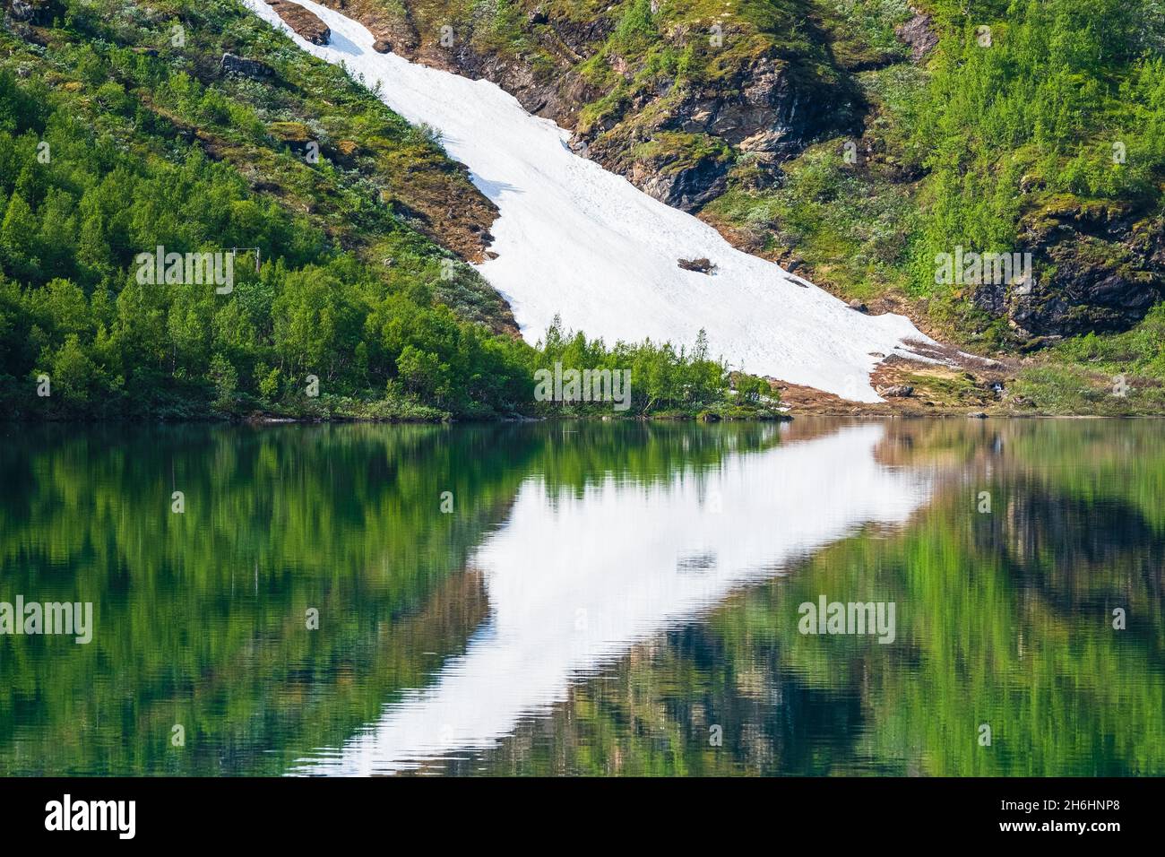 Spiegelung des Sees mit Wald und Schneefeld Stockfoto