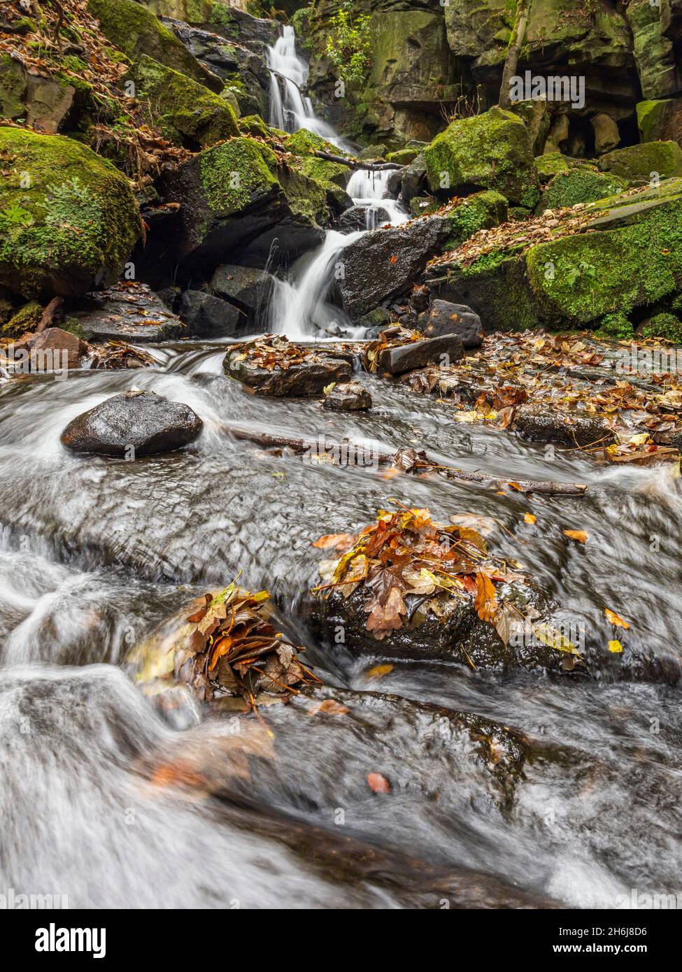 Herbst bei den Lumsdale Falls, gelegen entlang des Lumsdale Valley und nur einen kurzen Spaziergang von Matlock in Derbyshire entfernt, am Rande des Peak District National Park. Stockfoto