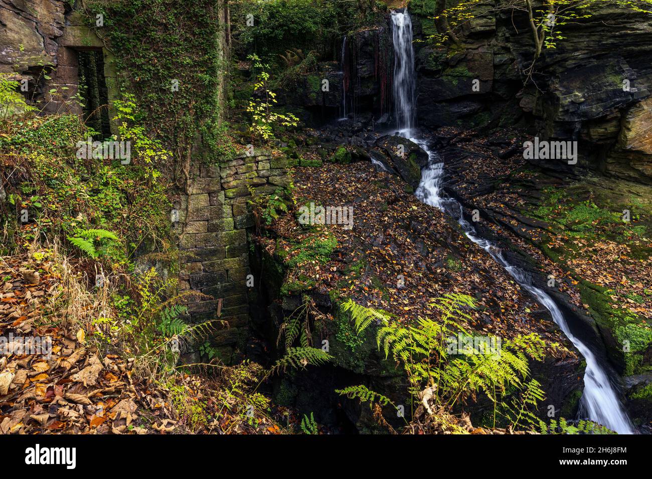 Herbst bei den Lumsdale Falls, gelegen entlang des Lumsdale Valley und nur einen kurzen Spaziergang von Matlock in Derbyshire entfernt, am Rande des Peak District National Park. Stockfoto
