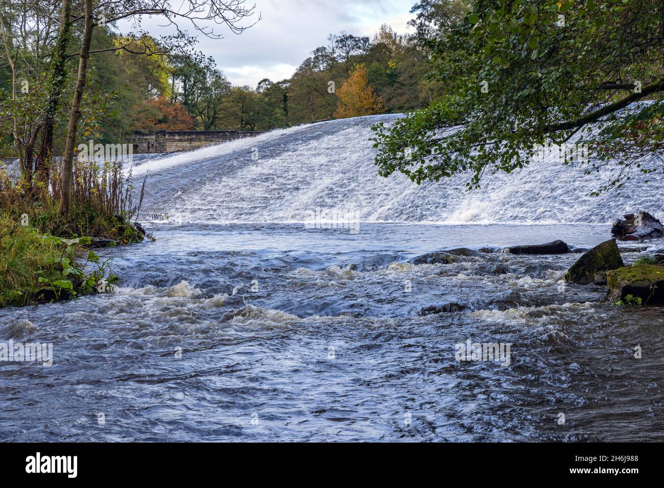 Der restaurierte Kalver Weir wurde im 19th. Jahrhundert erbaut, um Wasser für die Baumwollspinnerei in Calver Mill, River Derwent, Peak District, Derbyshire, zu liefern Stockfoto
