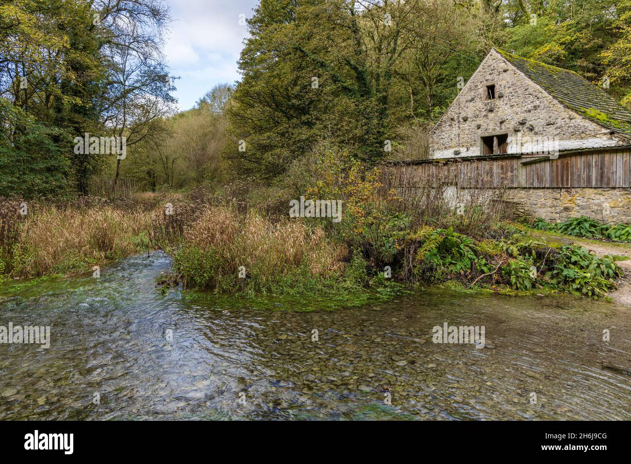 River Lathkill in der Nähe der Lathkill Lodge und über Haddon, Lathkill Dale, Peak District National Park, Derbyshire, England. Stockfoto