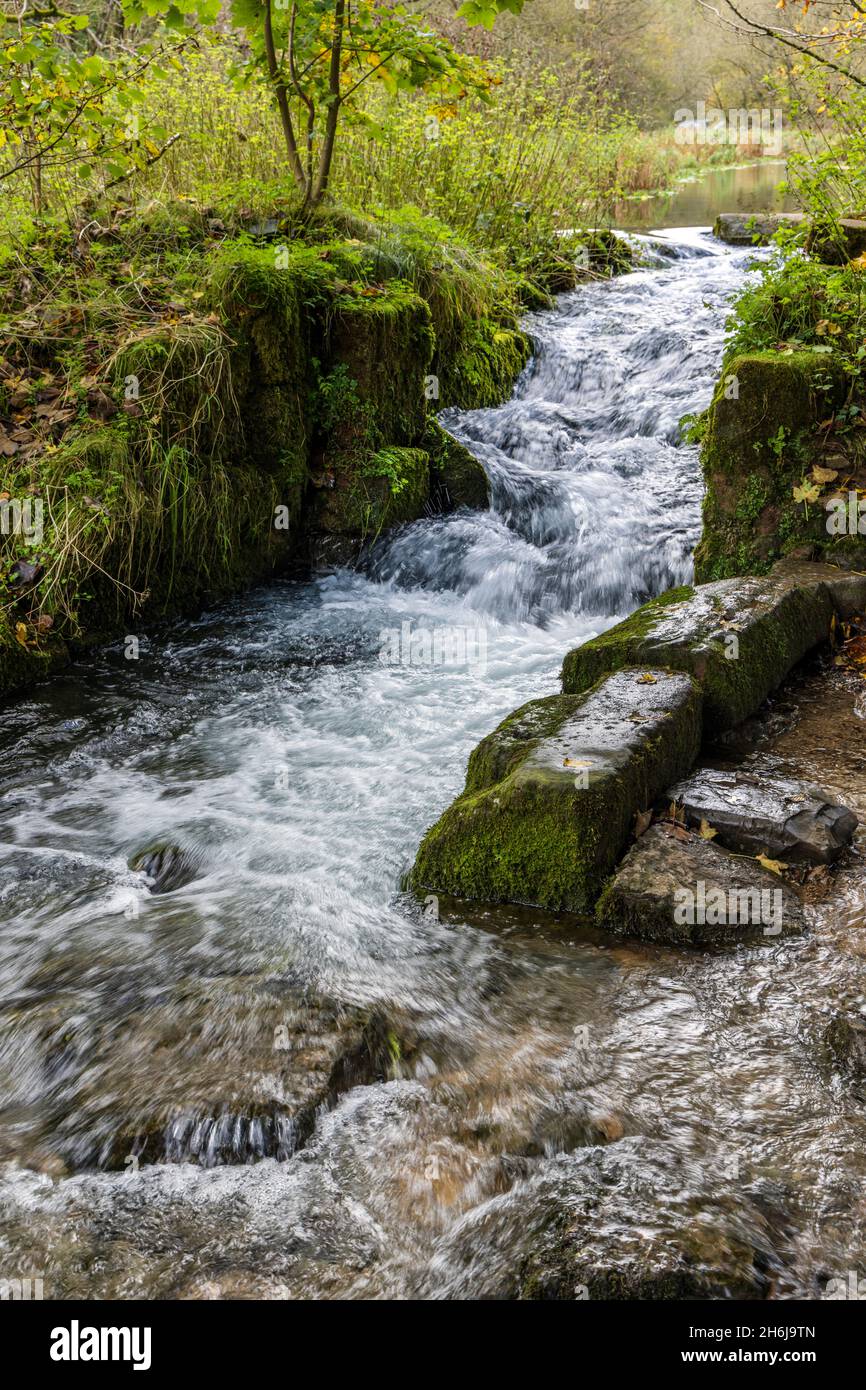 Ein malerisches Wehr über Kalksteinfelsen in der Nähe der Fischteiche, des Flusses Lathkill, Lathkill Dale, des Peak District National Park, Derbyshire, England. Stockfoto