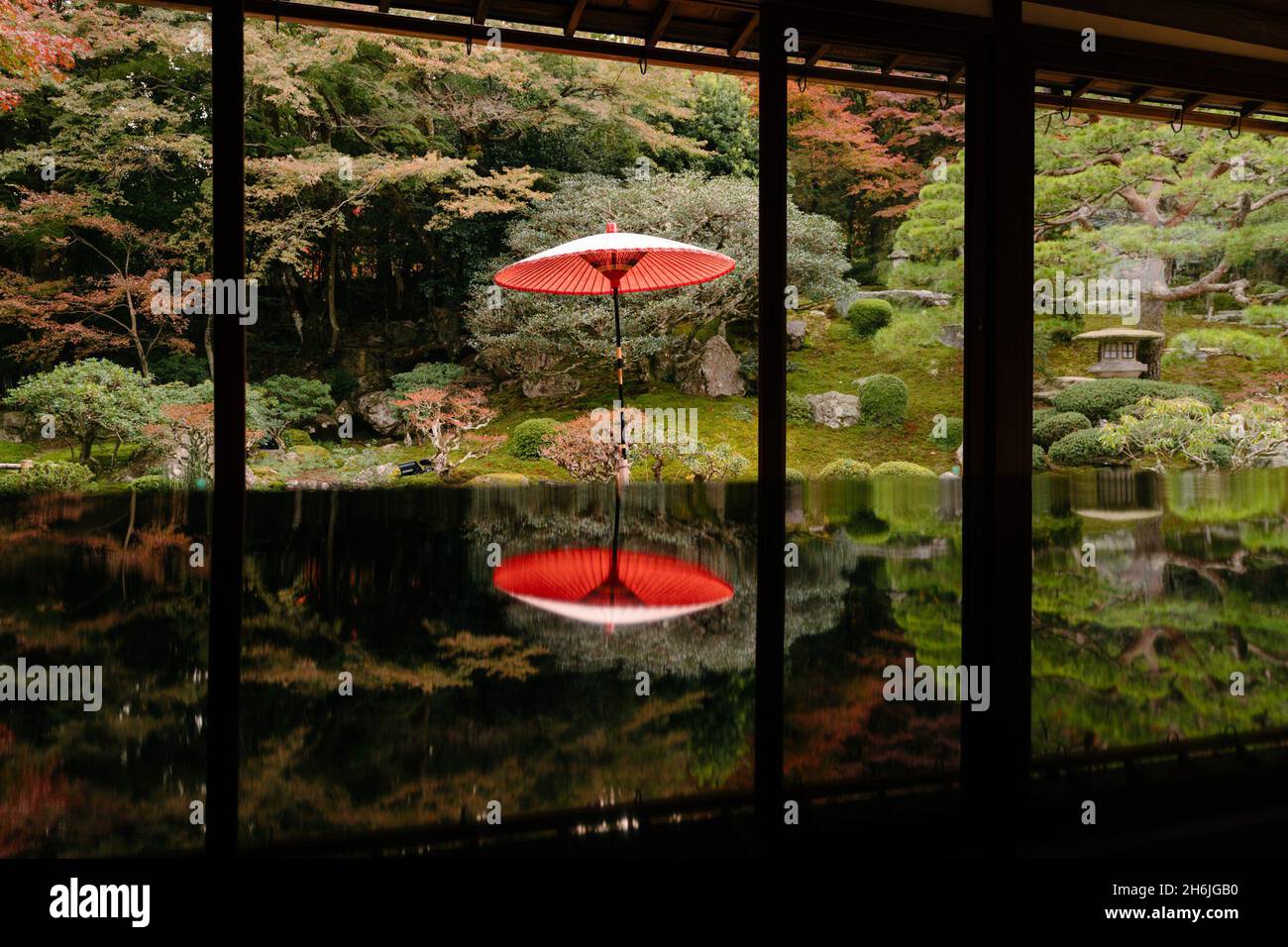 Kyoto, Japan. November 2021. Foto zeigt Herbstlandschaft am ehemaligen Chikurin-in Tempel in Kyoto, Japan, 16. November 2021. Quelle: Zhang Xiaoyu/Xinhua/Alamy Live News Stockfoto