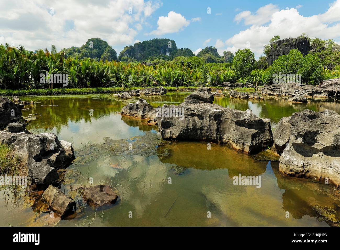 Typische erodierte Kalksteinaufschlüsse und See im Karstgebiet, Rammang-Rammang, Maros, Süd-Sulawesi, Indonesien, Südostasien, Asien Stockfoto