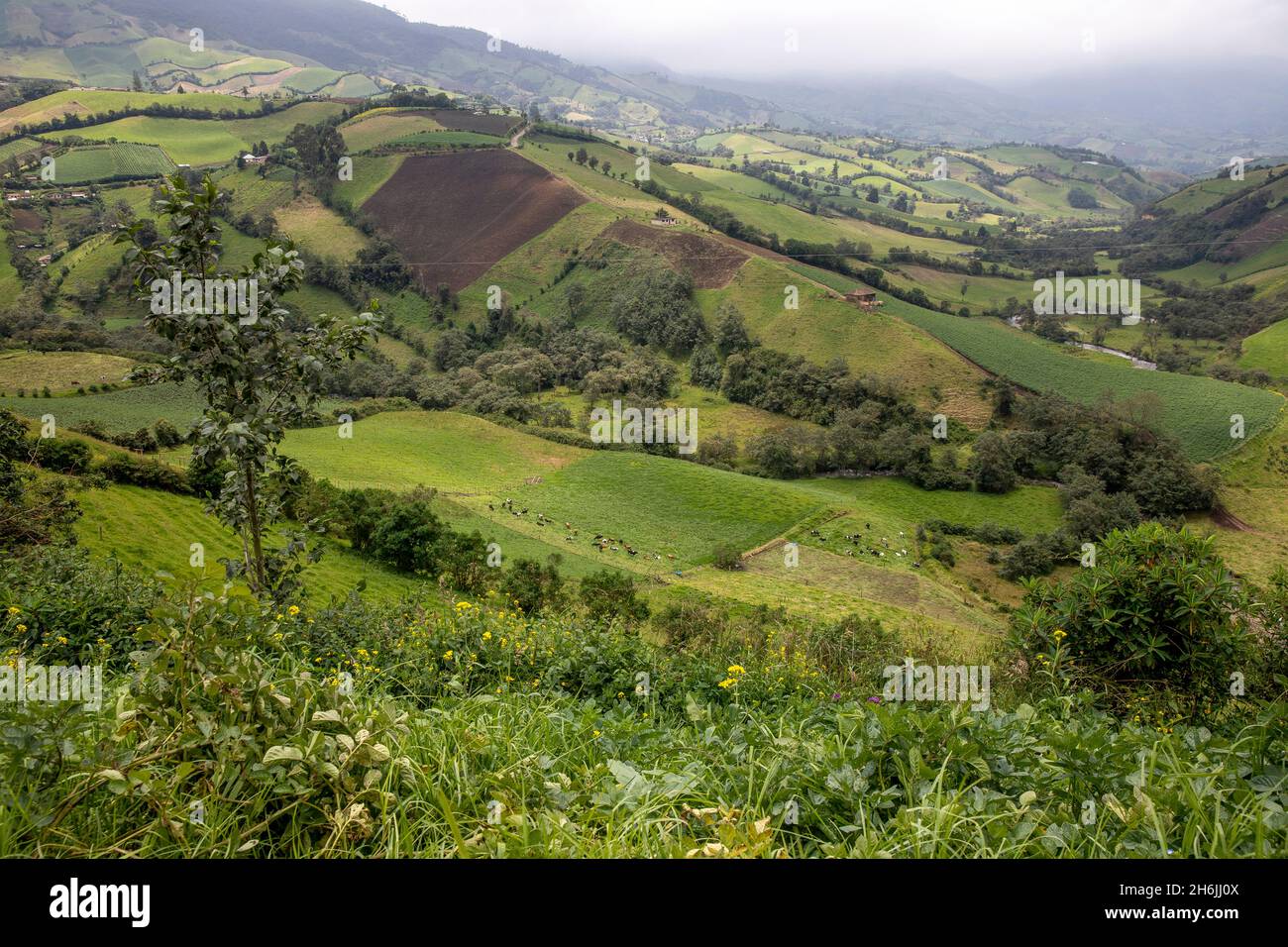 Landschaft der nördlichen sierra, Carchi, Ecuador, Südamerika Stockfoto