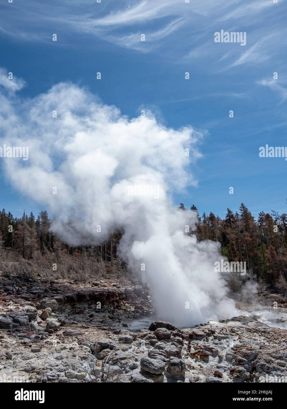Steamboat Geyser, der höchste aktive Geyser der Welt, dampft im Yellowstone National Park, UNESCO-Weltkulturerbe, Wyoming, USA Stockfoto