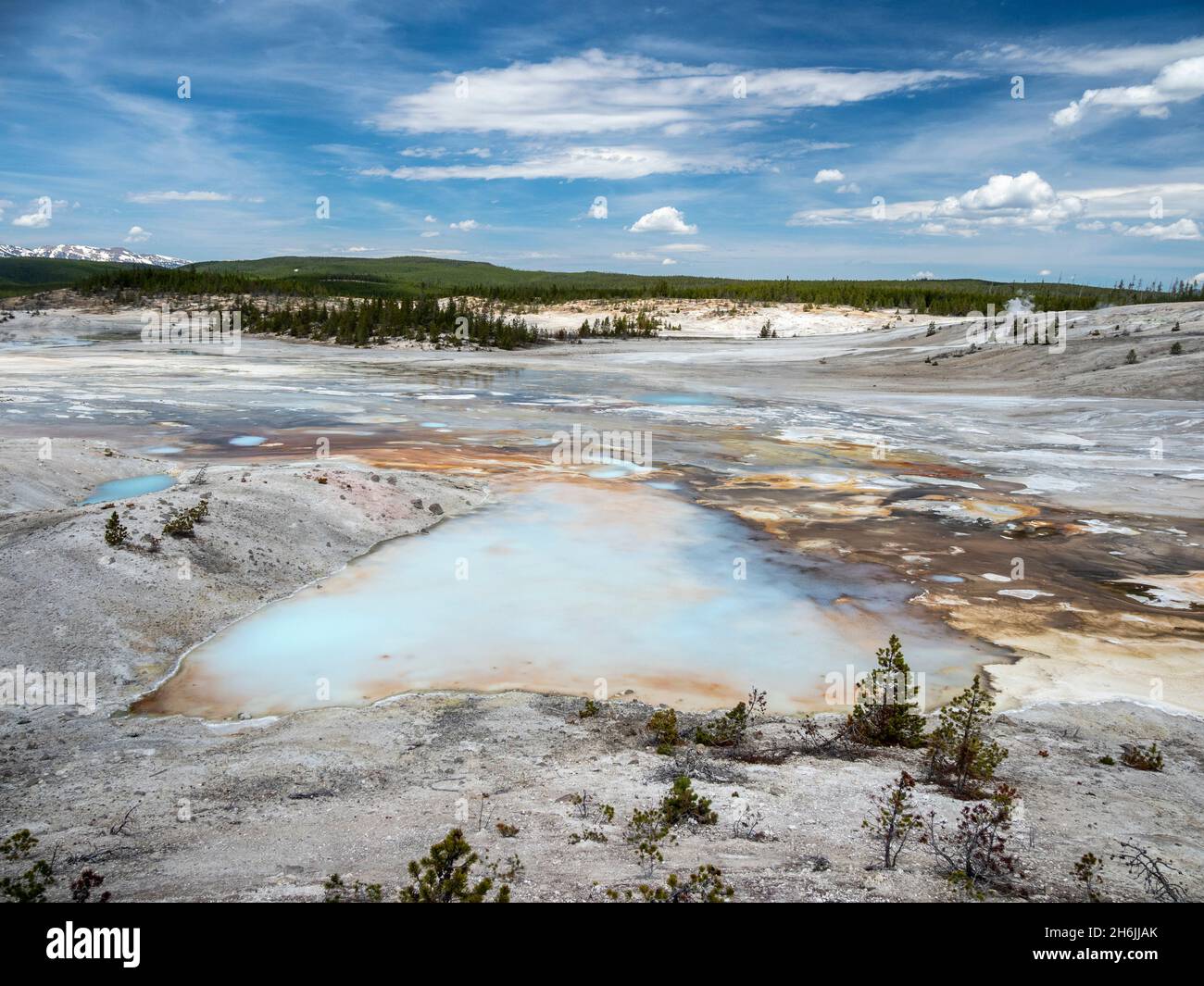 Porcelain Basin, in der Region des Norris Geyser Basin, Yellowstone-Nationalpark, UNESCO-Weltkulturerbe, Wyoming, Vereinigte Staaten von Amerika Stockfoto