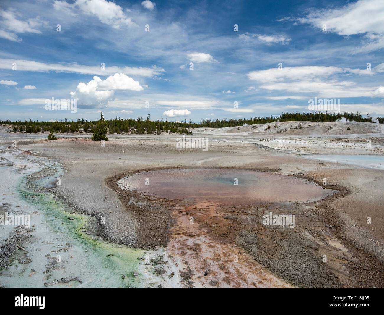 Porcelain Basin, in der Region des Norris Geyser Basin, Yellowstone-Nationalpark, UNESCO-Weltkulturerbe, Wyoming, Vereinigte Staaten von Amerika Stockfoto