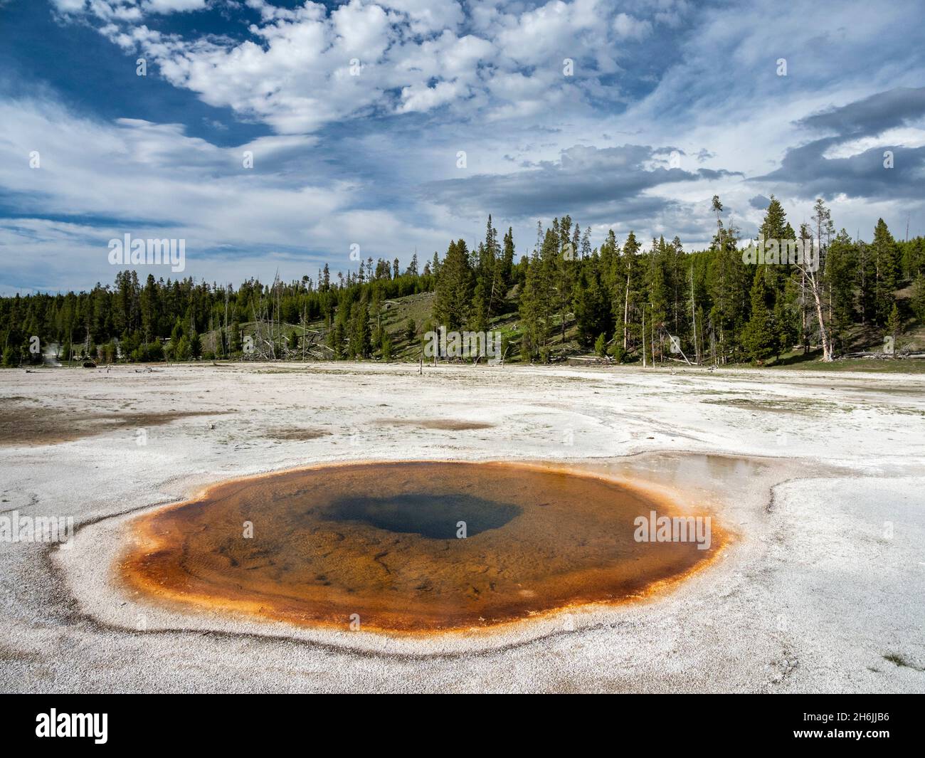 Chromatischer Pool, in der Gegend des Norris Geyser Basin, Yellowstone-Nationalpark, UNESCO-Weltkulturerbe, Wyoming, Vereinigte Staaten von Amerika Stockfoto
