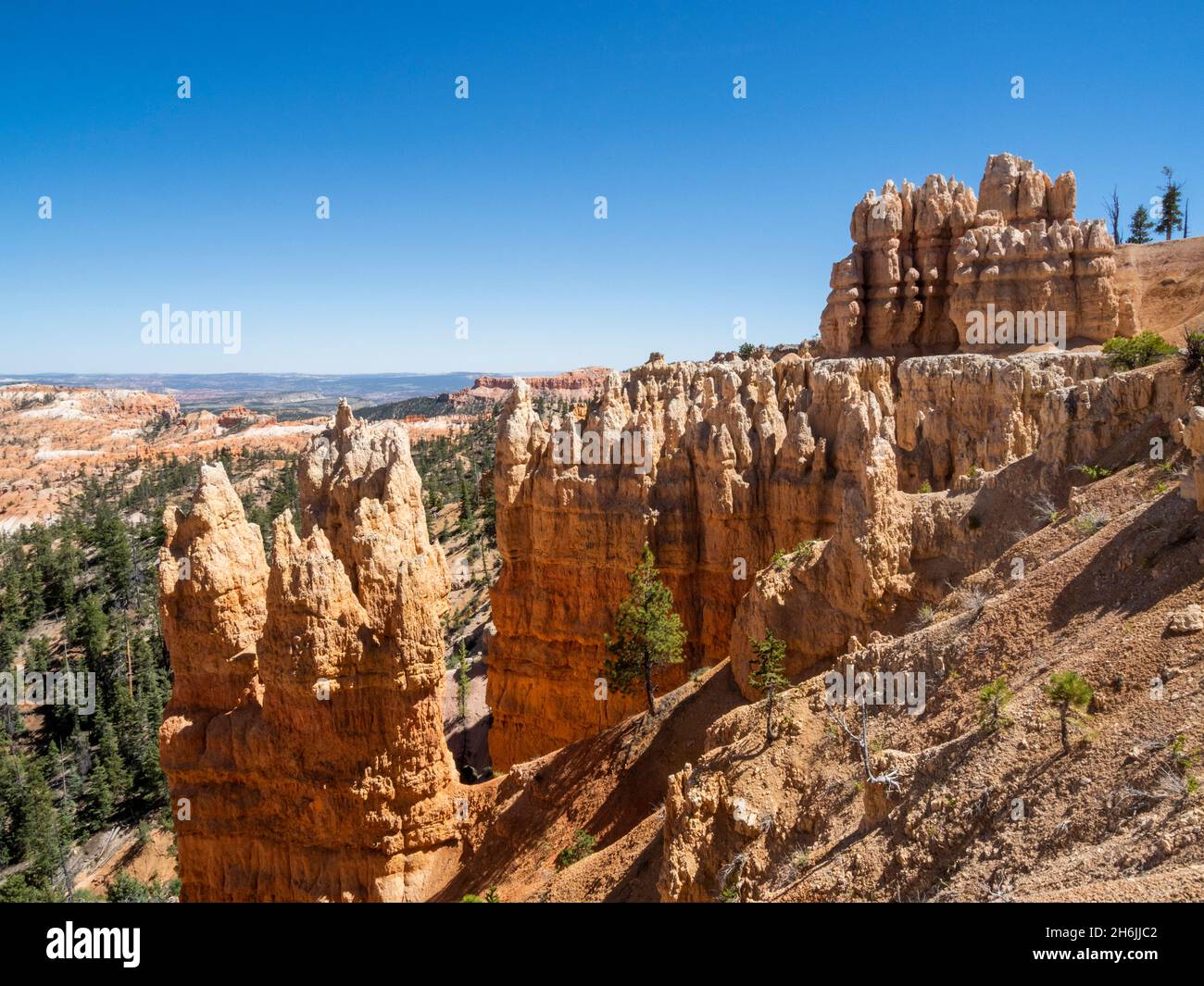 Ein Blick auf die Hoodoos vom Rim Trail im Bryce Canyon National Park, Utah, USA, Nordamerika Stockfoto