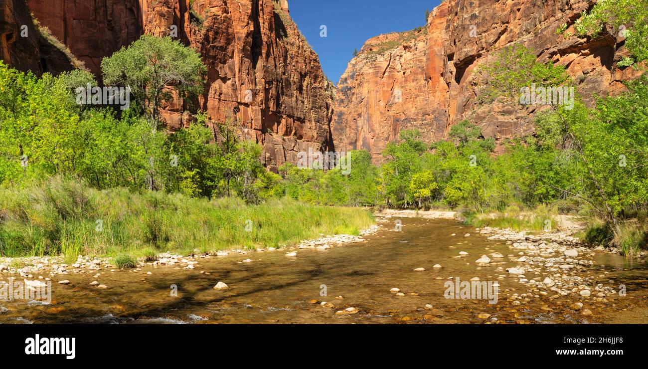 Riverside Walk, Tempel von Sinawava, Zion National Park, Colorado Plateau, Utah, Vereinigte Staaten von Amerika, Nordamerika Stockfoto
