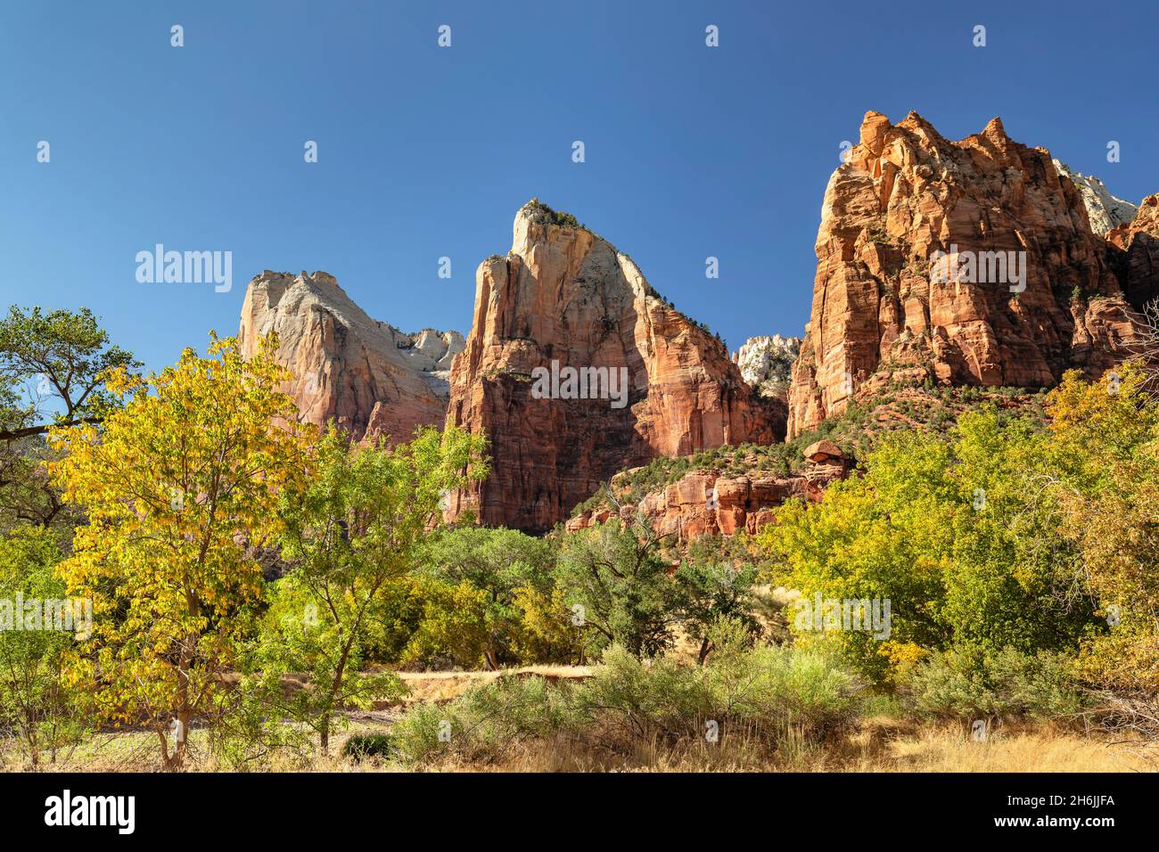 Court of Patriarchs, Zion National Park, Colorado Plateau, Utah, Vereinigte Staaten von Amerika, Nordamerika Stockfoto