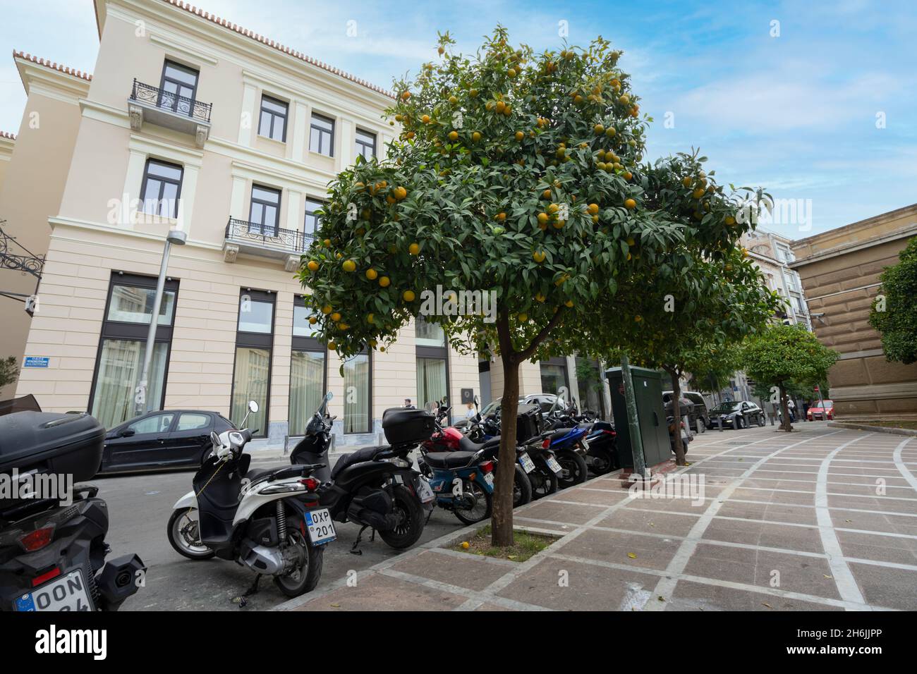 Athen, Griechenland. 2021. November. Orangenbäume auf einer Straße im Stadtzentrum Stockfoto Athen, Griechenland. 2021. November. Orangenbäume auf einer Straße im Stadtzentrum Stockfoto