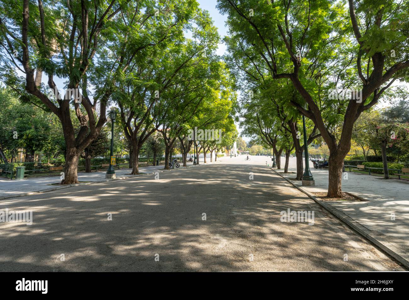 Athen, Griechenland. November 2021. Eine Allee im baumbestandenen Park vor dem Zappeion, einem Gebäude aus der Zeit um 1880. Stockfoto