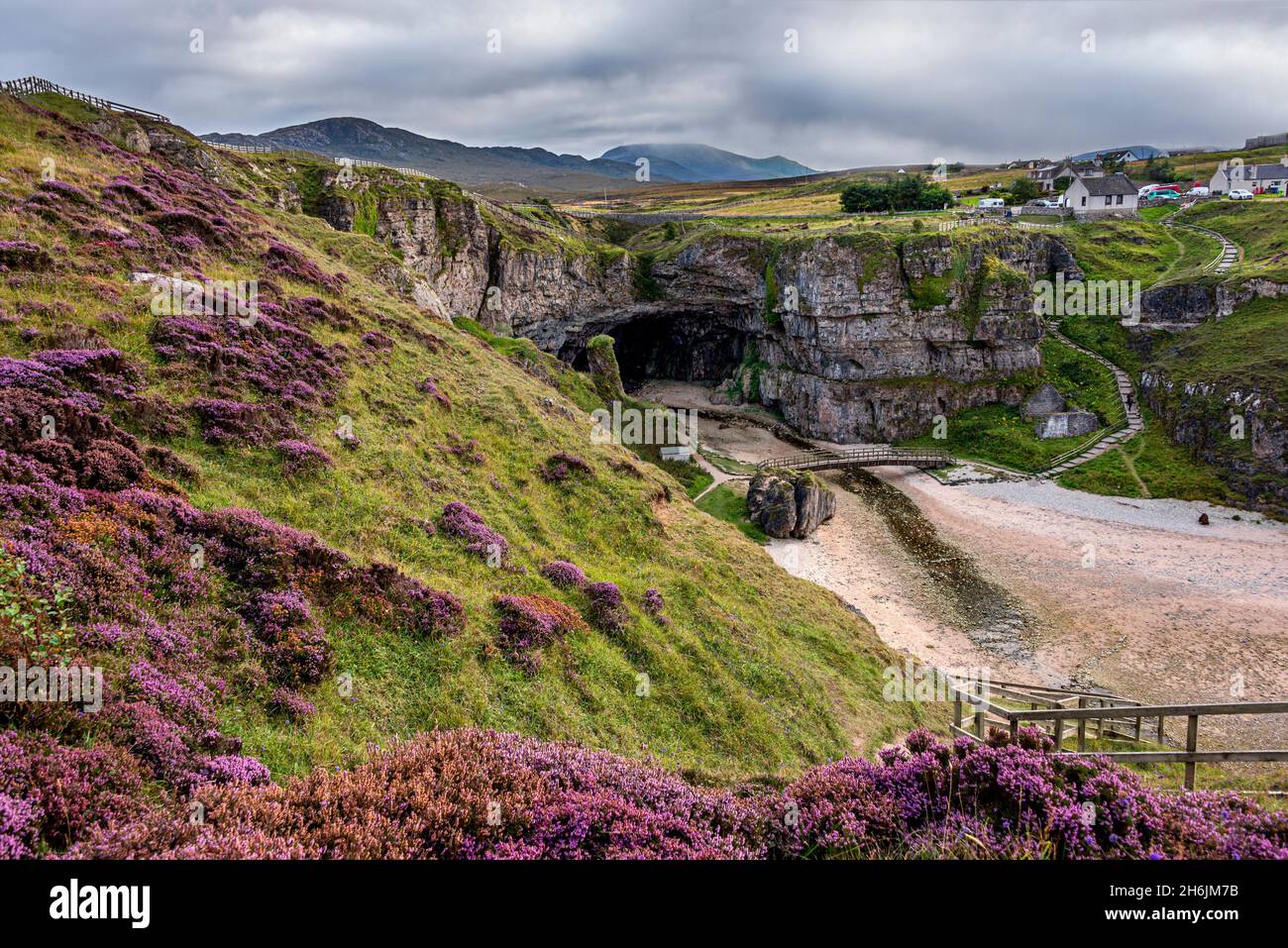 Lila Heidekraut auf den Klippen oberhalb der Smoo Cave in der Nähe von Durness, die einen der größten Meereshöhleneingänge in Großbritannien, Durness, Highlands, Schottland, hat Stockfoto