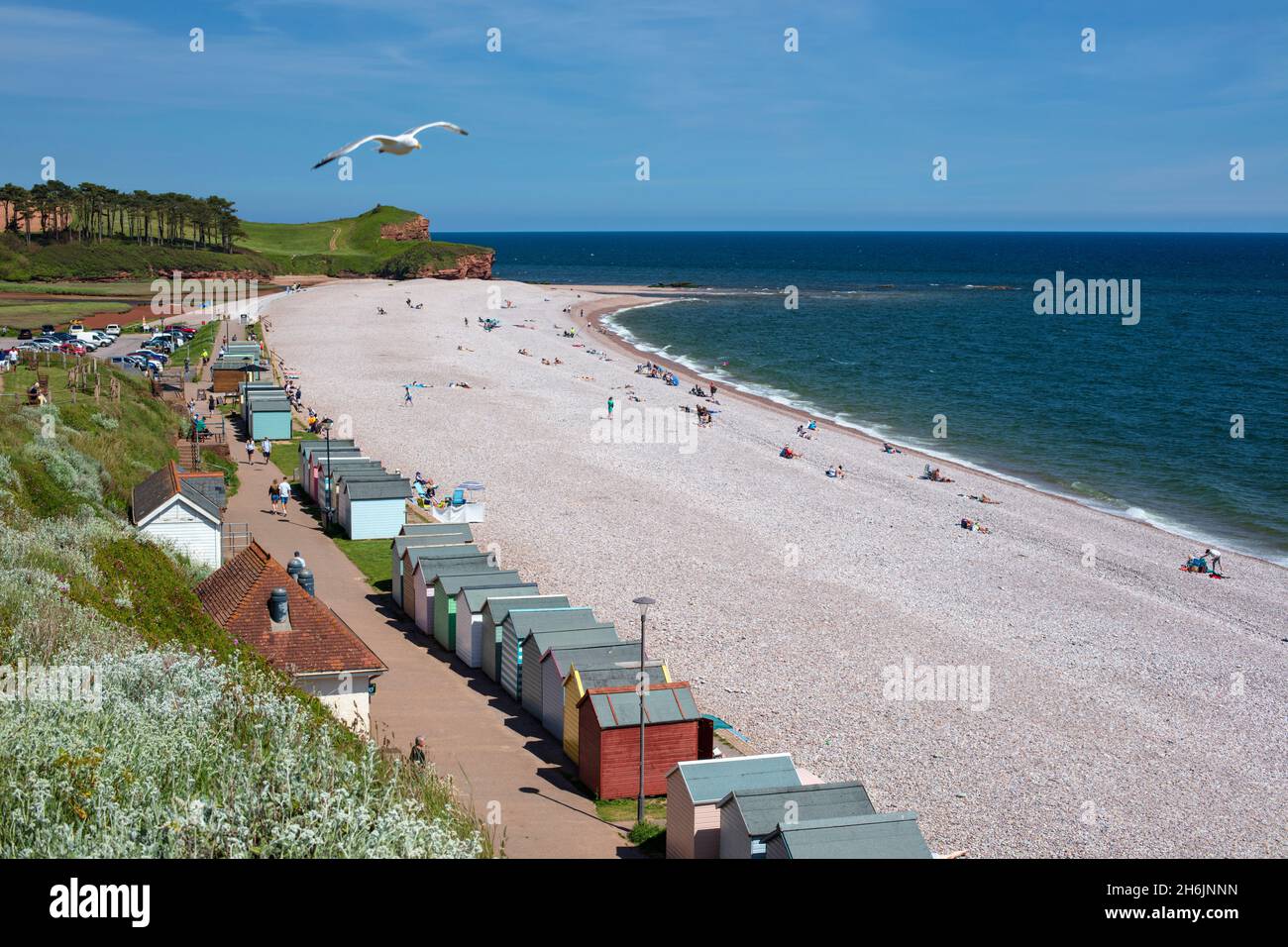 Blick auf Kiesstrand und Strandhütten, Budleigh Salterton, Jurassic Coast, Devon, England, Vereinigtes Königreich, Europa Stockfoto